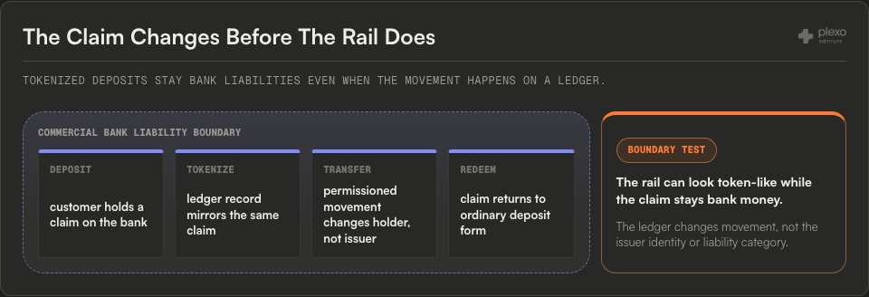 Tokenized deposit lifecycle diagram enclosed inside a commercial bank liability boundary with deposit, tokenize, transfer, redeem, and boundary-test callout.