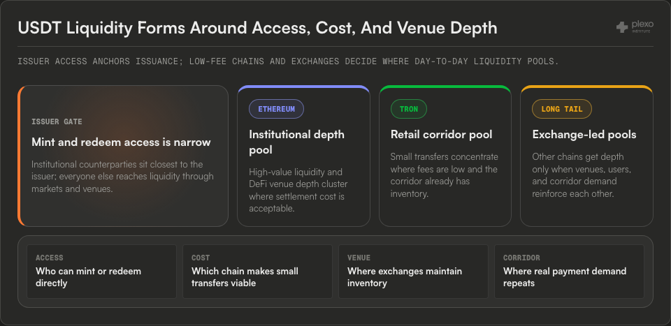 Topology diagram showing a USDT issuer gate feeding Ethereum, TRON, and long-tail liquidity pools shaped by access, cost, venues, and corridor demand.